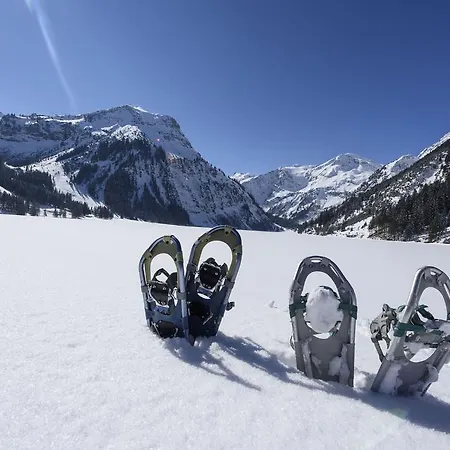 Haus Kristall * Tannheim