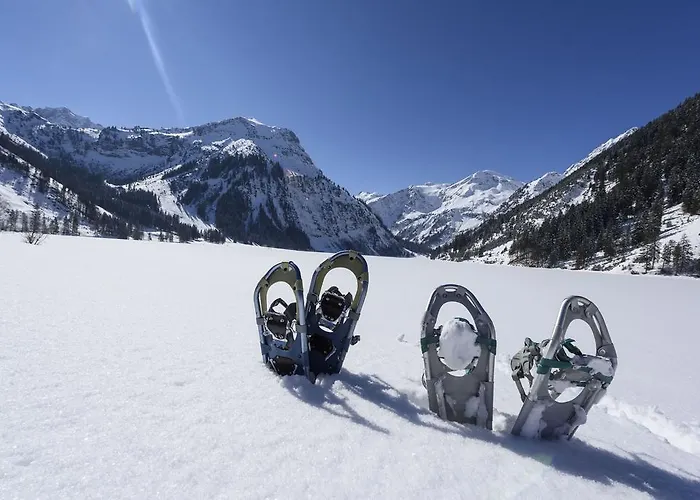 Haus Kristall * Tannheim